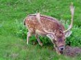 /album/fotogaleria/images-3-jpg/